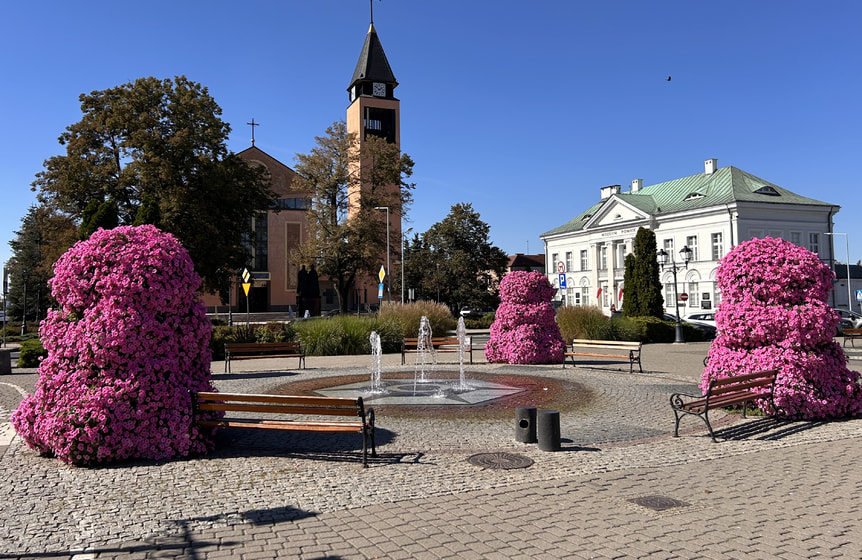 Plac Kościuszki, 96-500 Sochaczew
